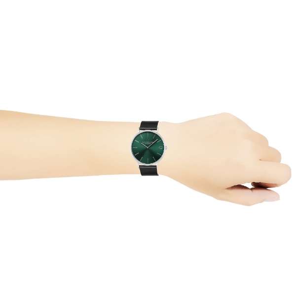 Coach Charles 14602436 Men’s Analog Watch – Green Dial, Black Leather Strap, 41mm Quartz