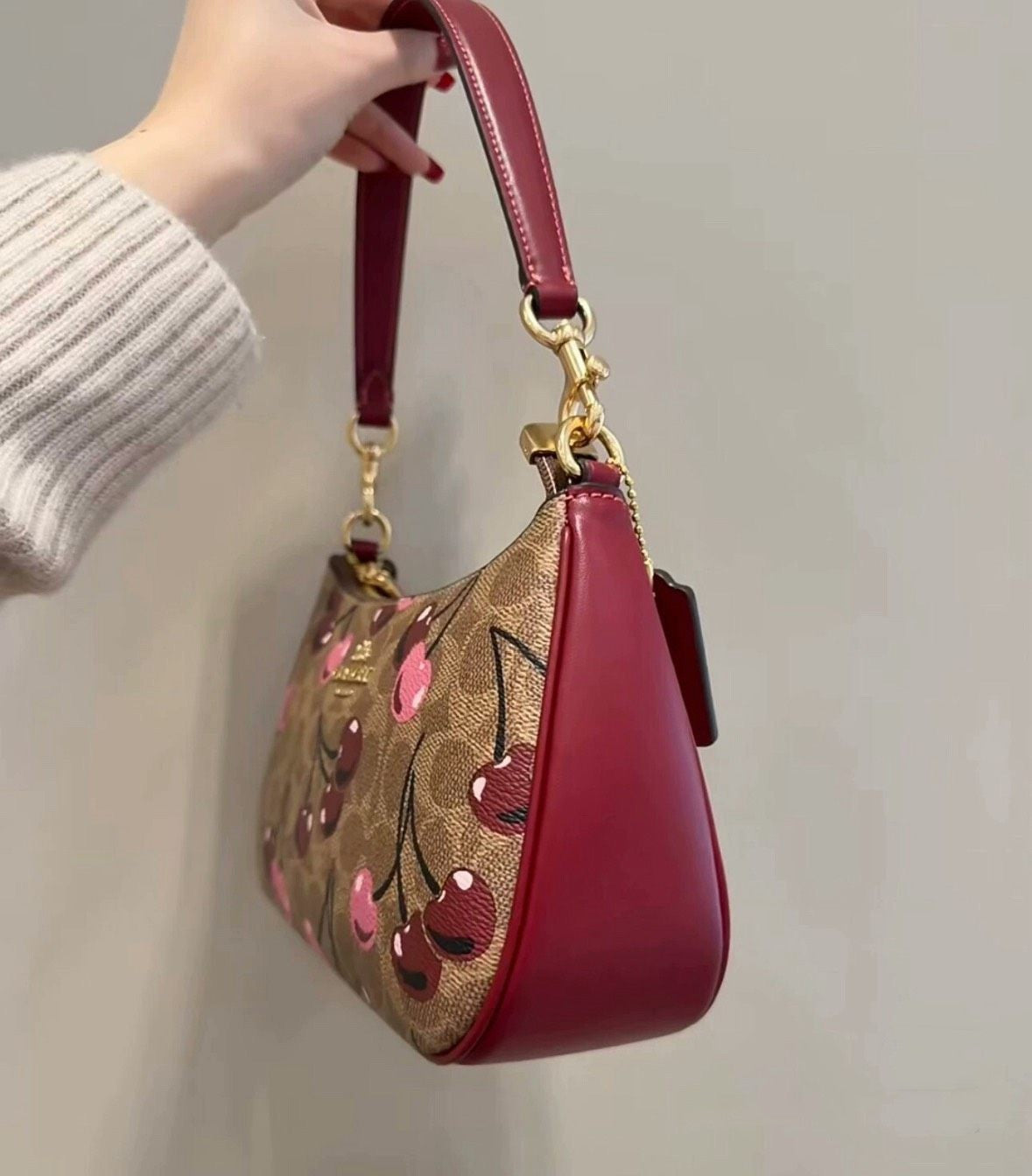 Coach Teri Mini Shoulder Bag Cherry Print Signature Canvas (CY694)
